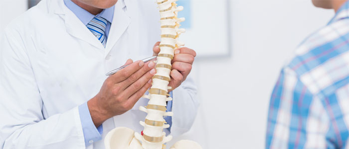 chiropractor pointing to spinal disc